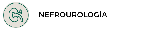 Nefrourología en Panda Veterinaria