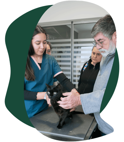 Especialidades Panda Veterinaria