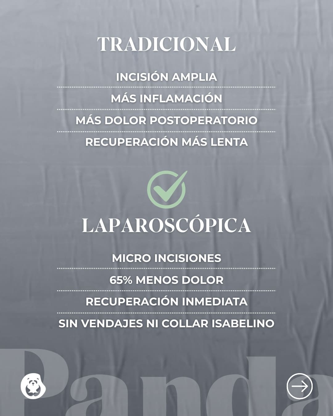 Cirugía laparoscópica veterinaria en Panda Veterinaria