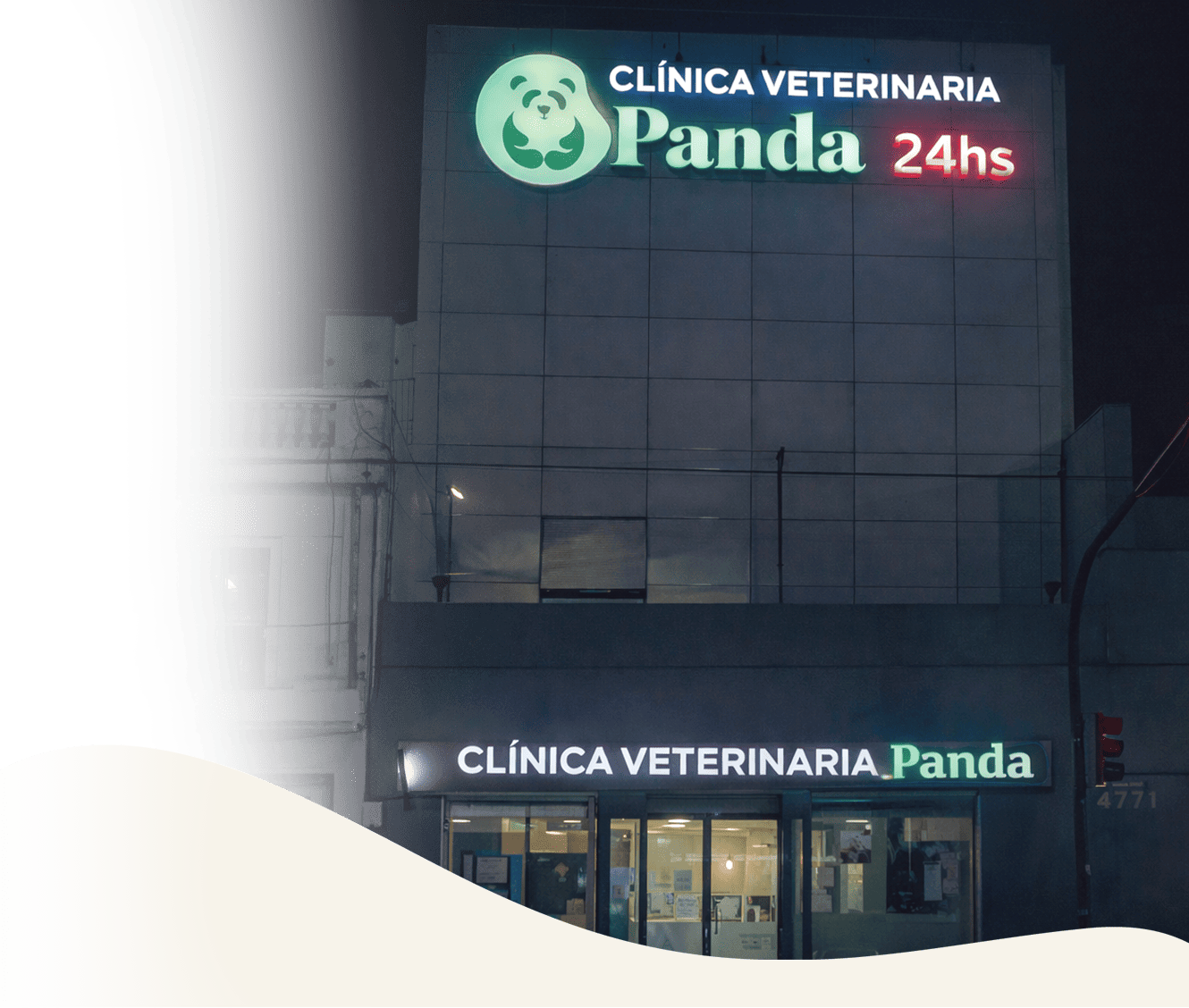 Urgencias veterinarias 24hs en Panda Veterinaria