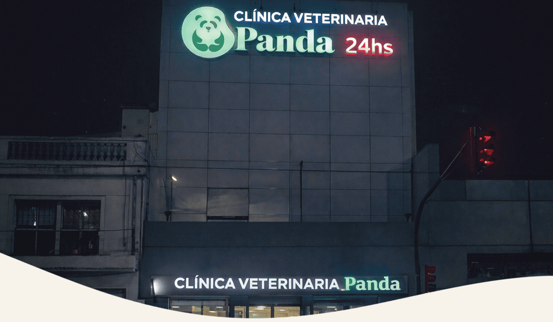 Urgencias veterinarias 24hs en Panda Veterinaria