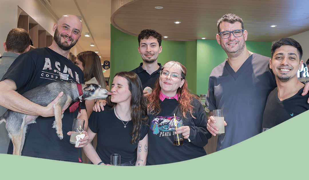 Panda veterinaria trabaja con nosotros 