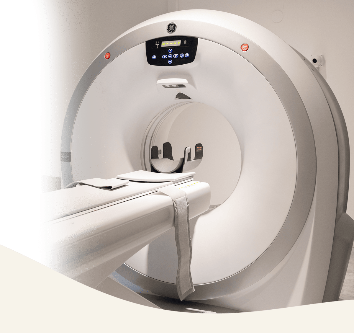 Tomografia computada en Panda veterinaria