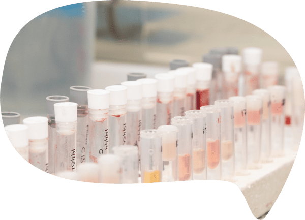 Laboratorio clinico en Panda veterinaria