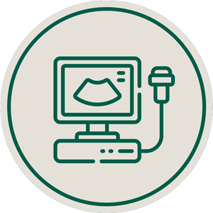 Ecografía en Panda Veterinaria