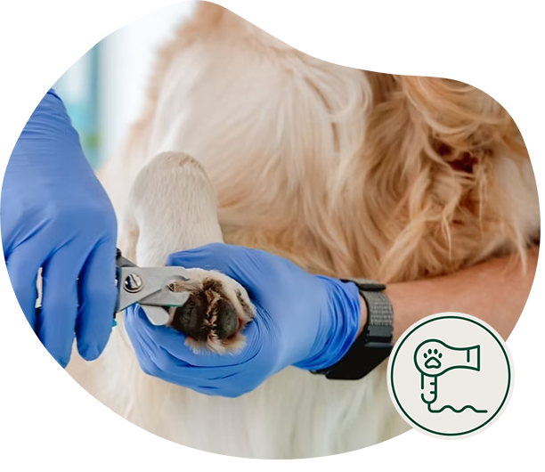 peluquería clínca panda